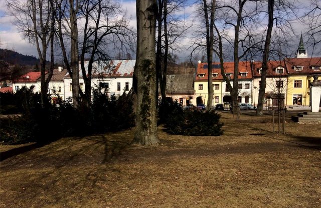 Chill in park