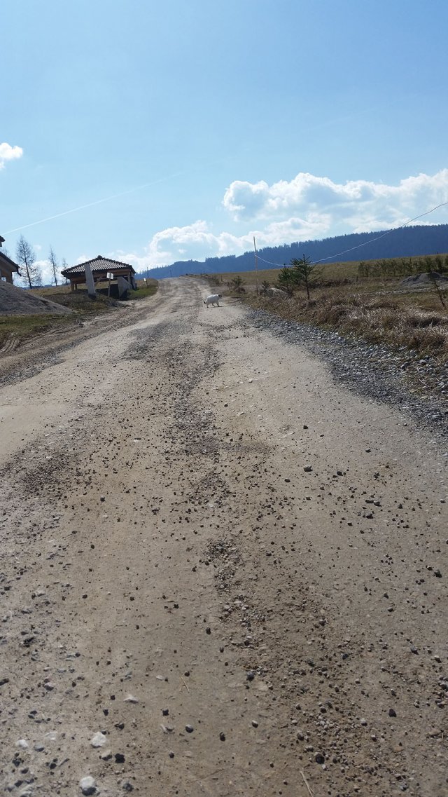 Cesta rohozna krivan