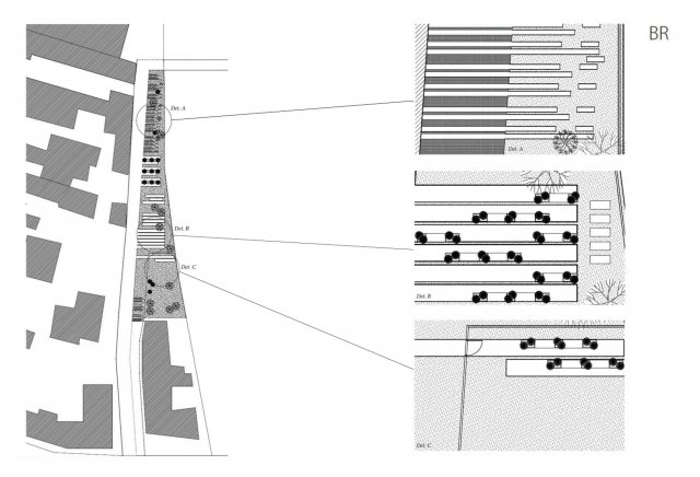 City Lines
